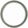 Rear crankshaft seal for Ford / Mercury engines