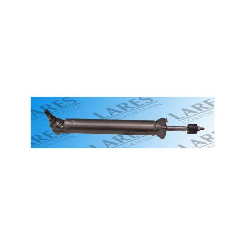 Power Steering Cylinder for Chevrolet