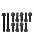 Exhaust manifold screws