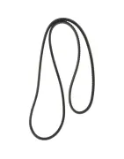 Correa de accesorios